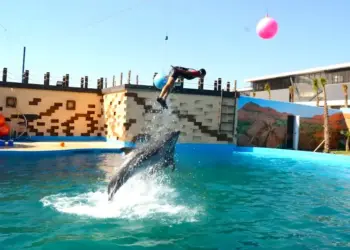 Agadir Dolphin World