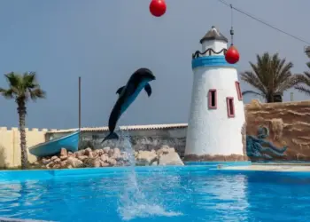 Agadir Dolphin World